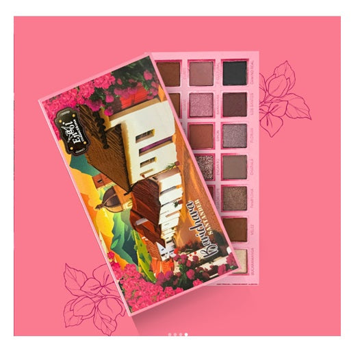 Paleta de Sombras BARICHARA x 21 Tonos Engol