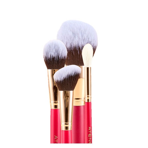 Kit x9 Brochas Atenea Profesional Rostro Scarlet